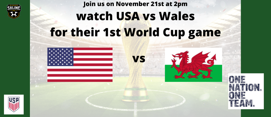 Watch USA vs WALES at Emagine CANTON with Saline FC
